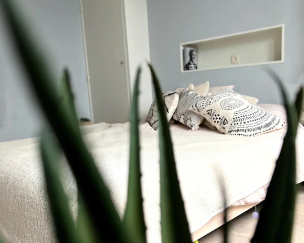 Ontdek onze plek aan de Kust